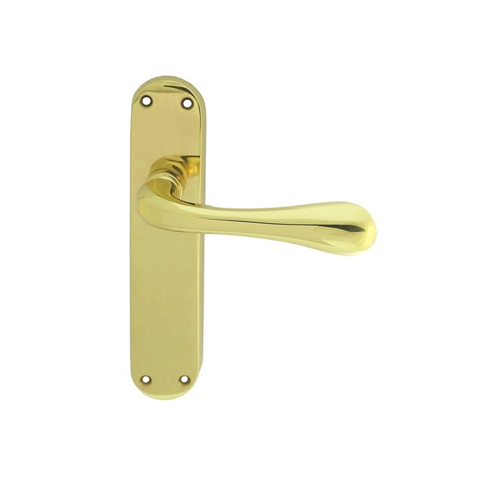 Astro Lever Door Handle on Various Backplates